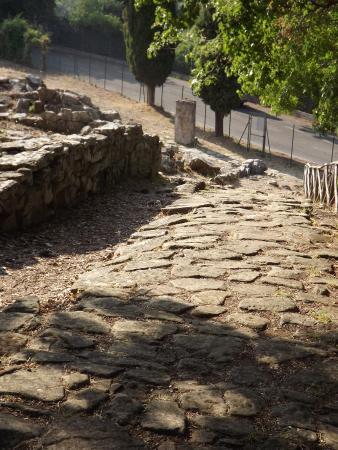 Area Archeologica di Vetulonia